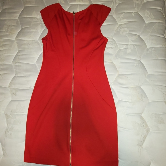 Red Express Dress - Picture 3 of 3